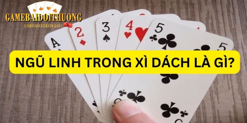 Thuật ngữ ngũ linh và xì dách là gì?